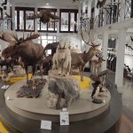 Una panoramica della sala espositiva principale - Foto p.g.c. Muzoo Catania